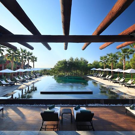 فندق إيشا جاردنز آند تاي سبا، إيه رويال هايدواي فينيسترات المظهر الخارجي الصورة The pool at the Mandarin Oriental, Bodrum